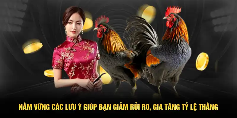Nắm vững các lưu ý giúp bạn giảm rủi ro, gia tăng tỷ lệ thắng